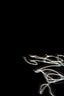 white and blue light illustration