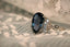 The Significance of Birthstones: Unveiling the Magic within Jewelry