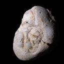 a rock with some dirt on top of it