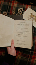 Vintage Scripture Natural History book open on cream pages near crown jewels