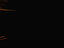 Streaks of light against a dark background