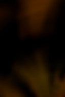 a blurry photo of a banana on a plate