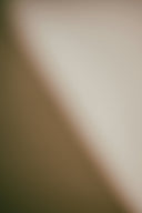 Soft gradient of beige and brown tones