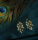 a close up of a pair of earrings with a peacock feather
