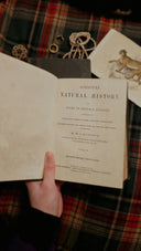 An open vintage book titled scripture natural history shown in an article on royal jewels and art deco 18k gold jewelry