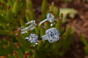 A collection of fine jewelry diamond rings with silver bands featuring various cuts in an ethical heirloom context.