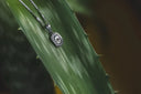 Ethical silver skull pendant in art gold jewelry style with beaded border