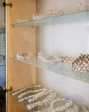 Sparkling silver tiaras with crystals on glass shelves, royal jewels style