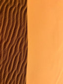 a desert scene with a sand dune in the background