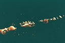 Stunning 18k gold model boat in dark water, art gold jewelry trends