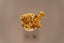 a bunch of gold nuggets sitting on top of a table