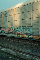 a train with graffiti on the side of it