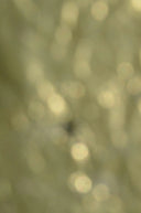 a blurry photo of a cell phone with a blurry background