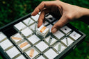 person holding white and brown box
