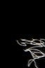white and blue light illustration