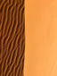 a desert scene with a sand dune in the background