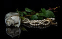 a white rose and pearls on a black surface