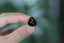 a person holding a small black and gold ring