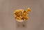 a bunch of gold nuggets sitting on top of a table
