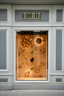 a window display of a flower shop