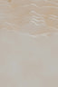 a bird flying over a sandy beach next to the ocean