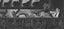a black and white drawing of a group of people