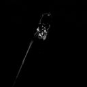 A black and white photo of a flower in the dark