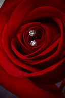 A close up of a red rose with a diamond ring