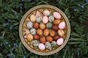 Decorated easter eggs arranged on a plate.