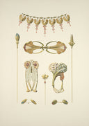 Collection of ornate art nouveau jewelry designs