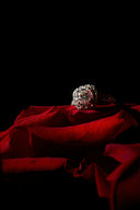Diamond ring resting on red rose petals