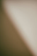 Soft gradient of beige and brown tones