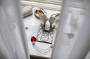 Elegant wedding accessories laid out on a windowsill.