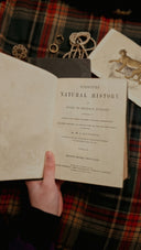 Open book titled scripture natural history on tartan blanket