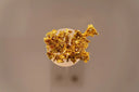 A shimmering irregular gold nugget with rough crystalline texture illustrating real-life treasure hunts and art gold.