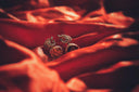 Golden dragon art gold jewelry earrings for royal engagement
