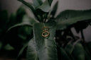 a pair of gold rings sitting on top of a green plant