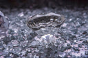 A brilliant-cut transparent diamond with a faceted surface rests on shattered glass in titanic towers fine jewelry