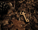A vintage brass key with a distinctive three-hole head lies among dry leaves in an article on fine jewelry treasures.