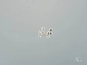Several certified 18k solid white gold 3mm ball stud earrings