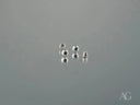 Shiny 18k white gold 4mm ball earrings for kids with silver beads