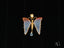 Delicate Butterfly Bliss pendant in 18k gold with opalescent wings and blue topaz