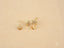 Gold star earrings and backs in CZ Star Earrings - certified 18k solid art gold jewelry
