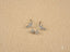 Celestial Cross 18K White Gold CZ Earrings with screw backs in art gold jewelry style