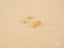 Gold flower stud earrings with backs from Floral Bloom 18K Gold collection
