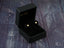 Gold flower earrings in a black jewelry box for Floral Bloom 18K Gold Petite Stud Earrings