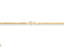 Gold chain necklace with lobster clasp from Golden Luxe Cuban Link Chain collection