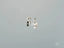 Stunning Noir Elegance 18k White Gold Black Diamond Stud Earrings for elegant style