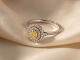 18K White Gold Yellow Diamond Engagement Ring With Double Halo