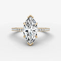 Étoile Marquise